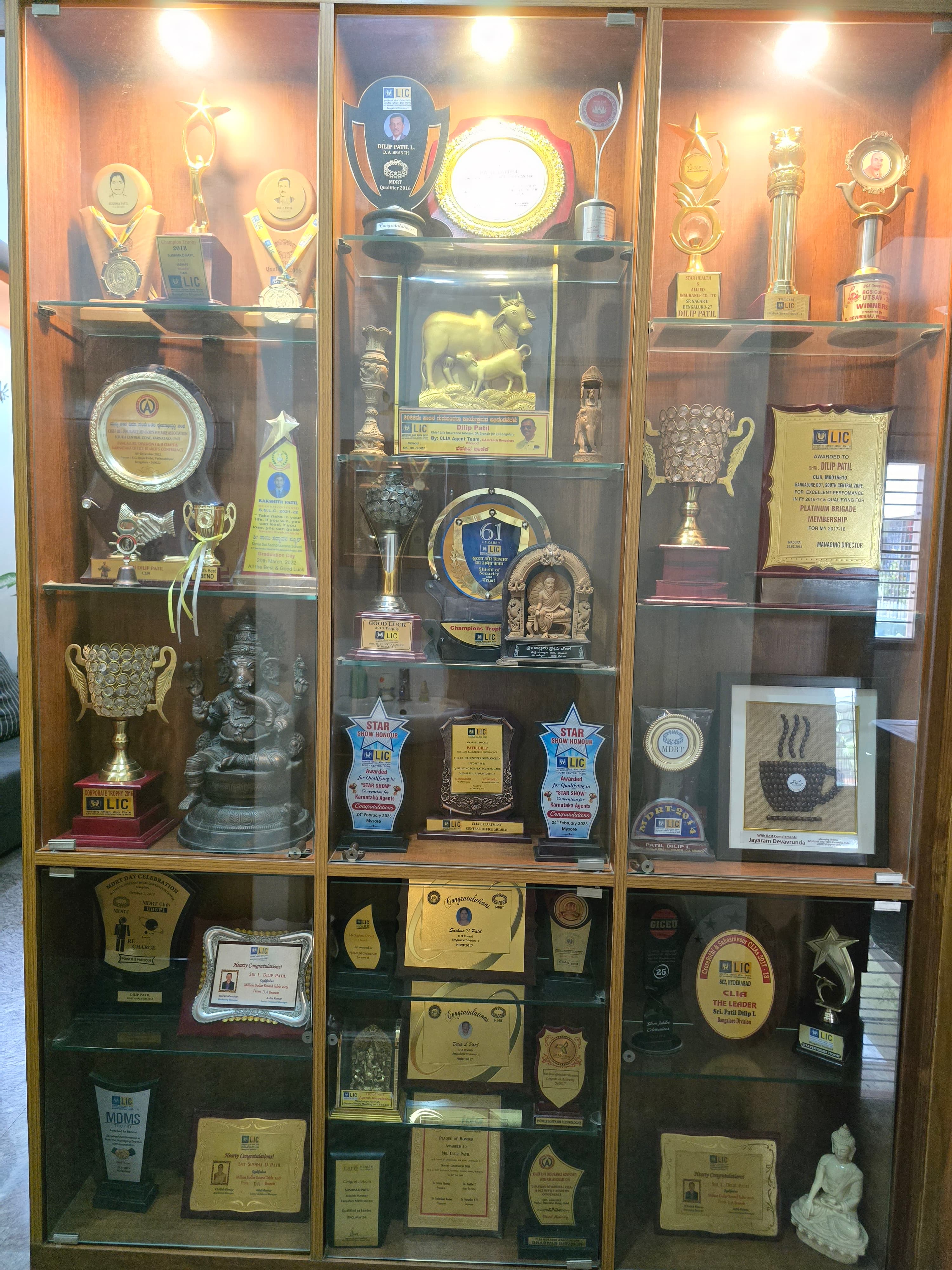 Excellence in Financial Advisory Trophy #5