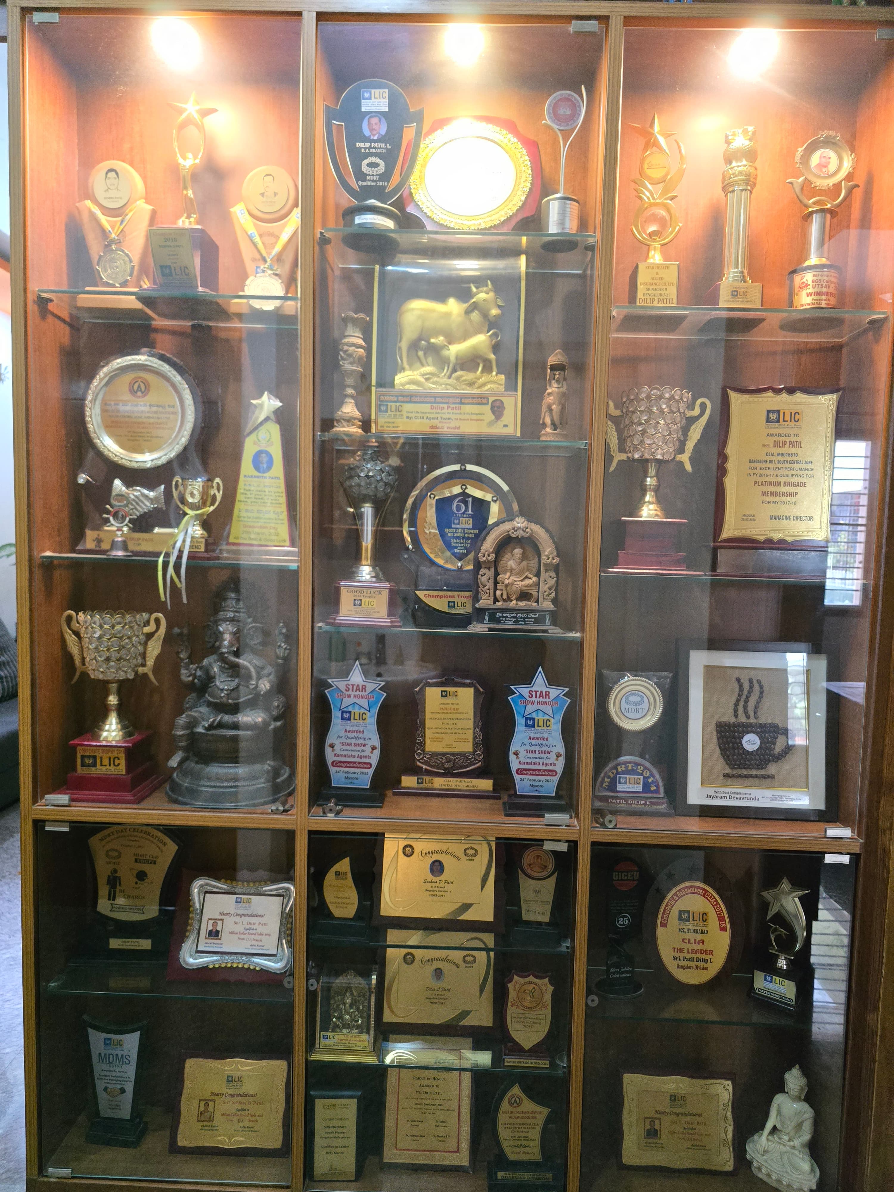 Excellence in Financial Advisory Trophy #6