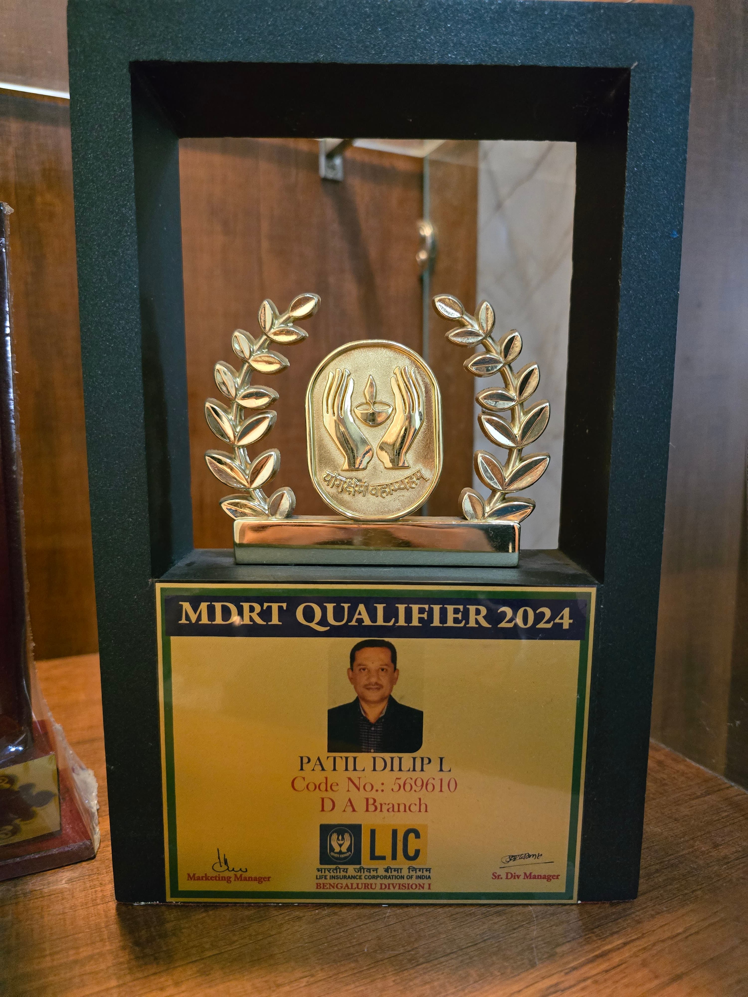 Excellence in Financial Advisory Trophy #7